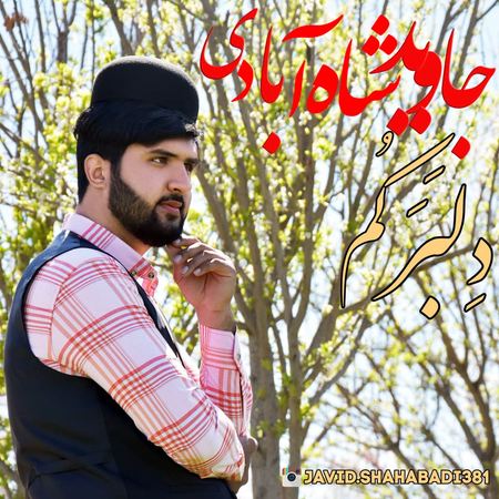 آهنگ جاوید شاه آبادی دلبرکم