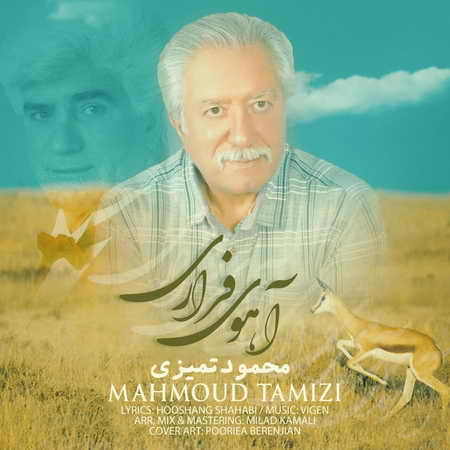 آهنگ محمود تمیزی آهوی فراری