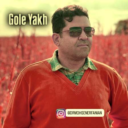 آهنگ محسن عرفانیان گل یخ