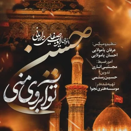 مداحی ایوب صفایی داریانی حسین تو آبروی منی